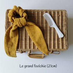 grand foulchie moutarde