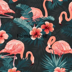 flamant rose