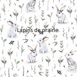 lapins